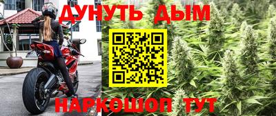 кокс Краснодар