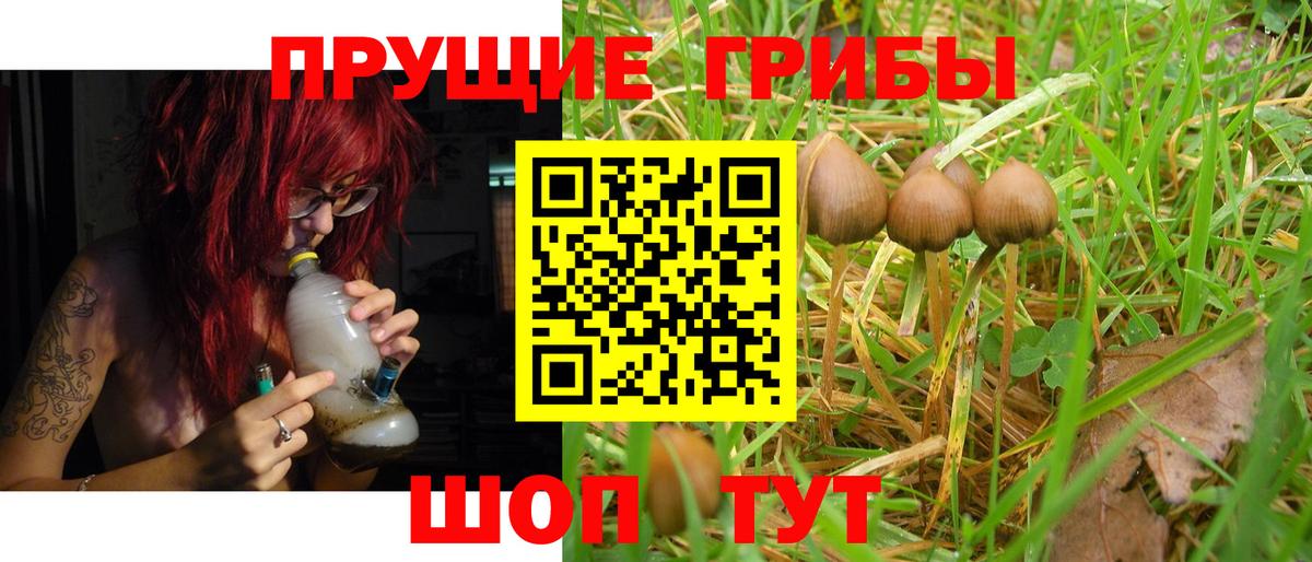 Карачаевск  Псилоцибиновые грибы Magic Shrooms  Вход с VPN 